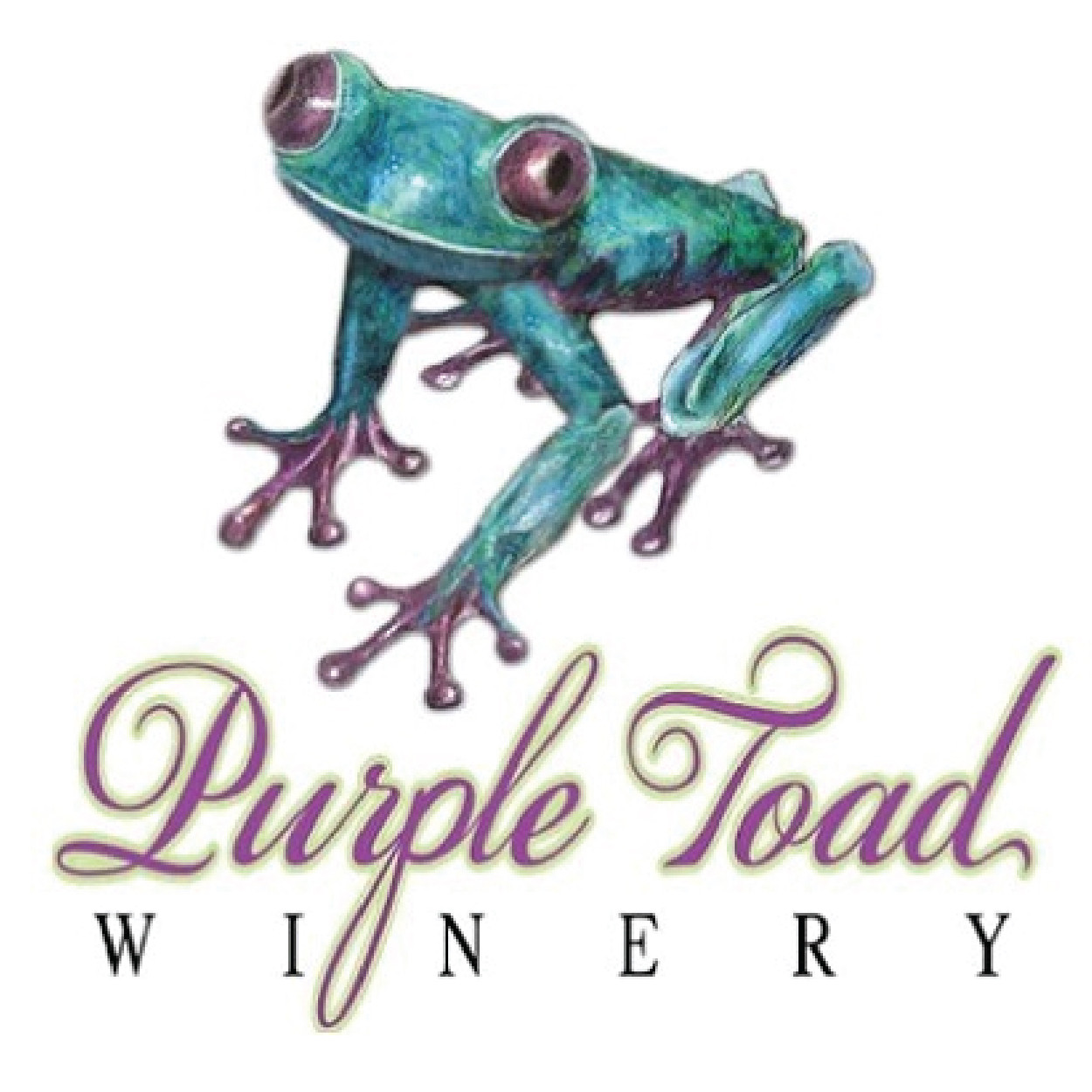 Purple Toad