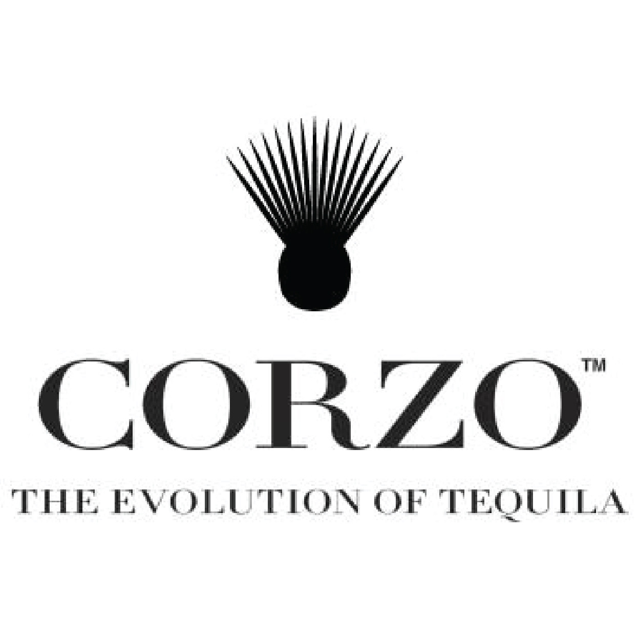 Corzo