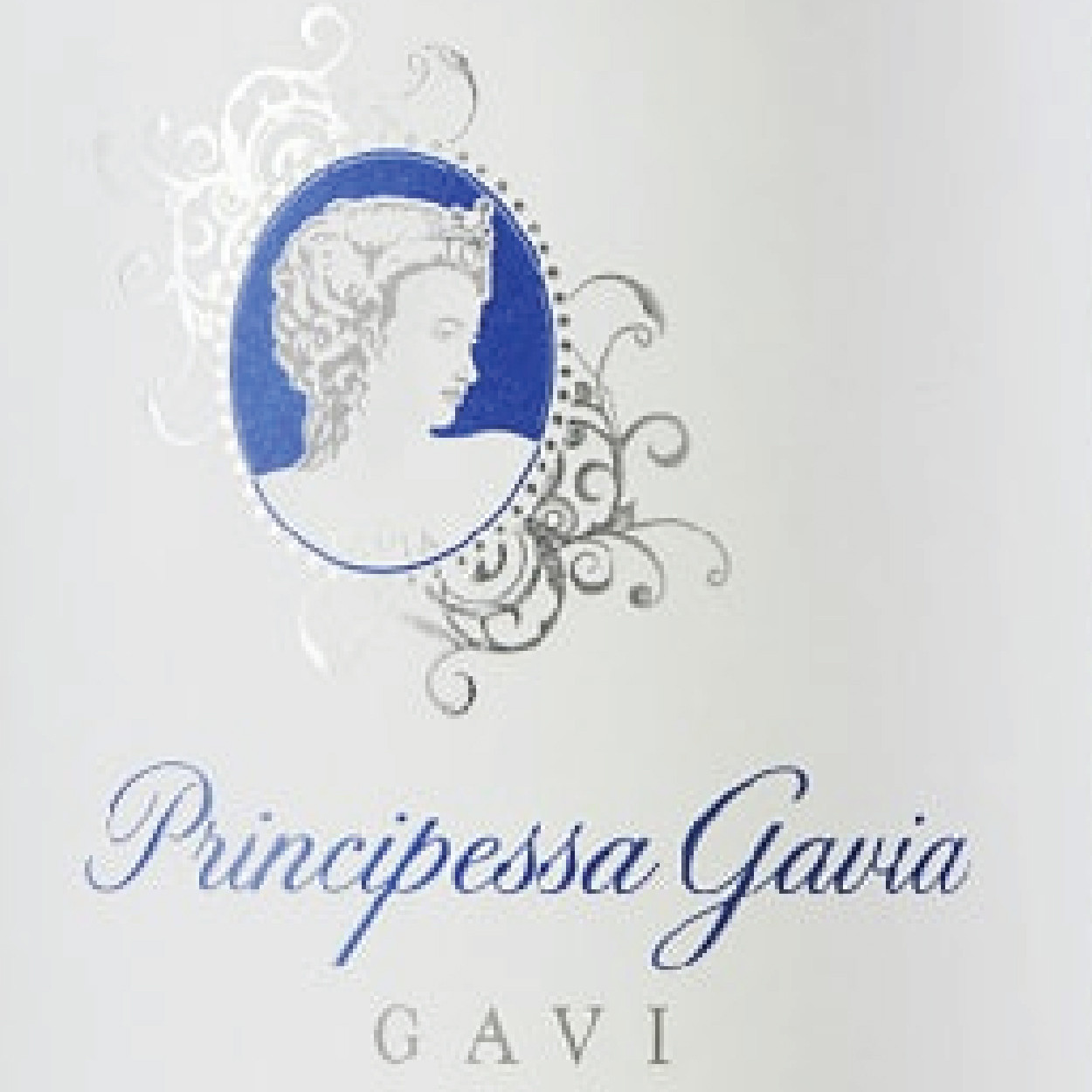 Principessia Gavia