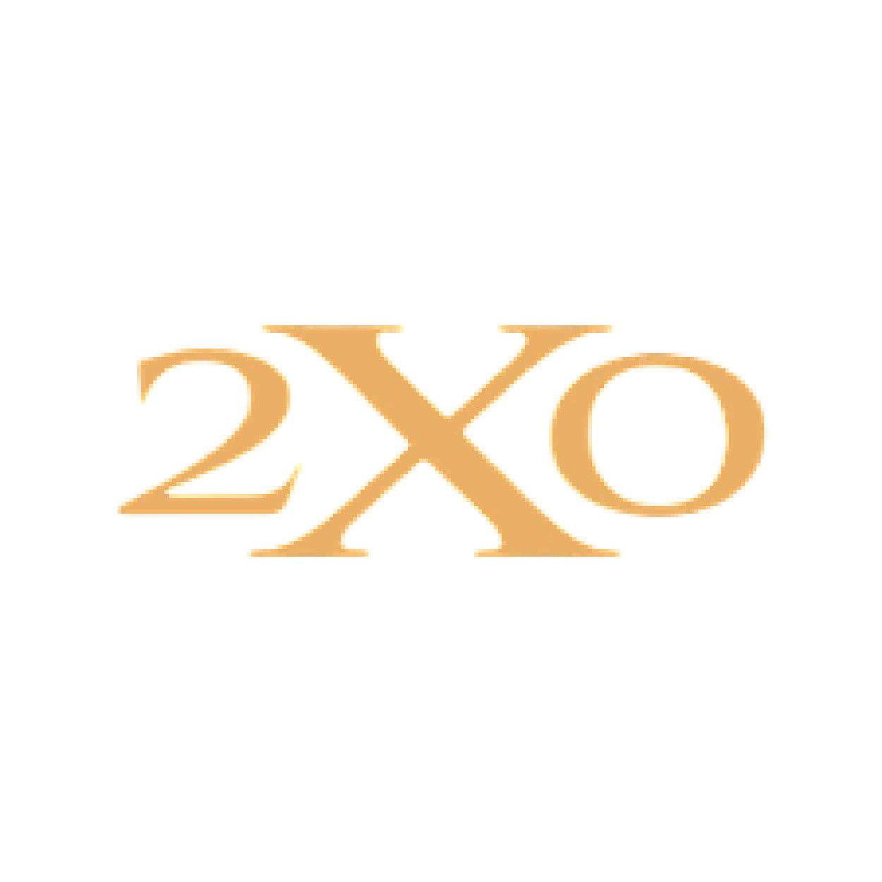 2XO