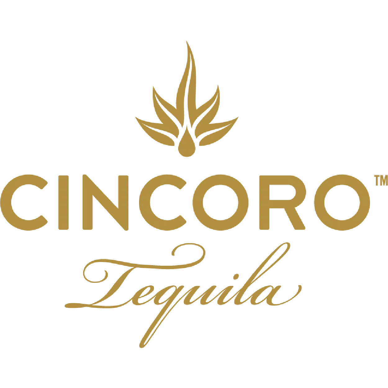 Cincoro
